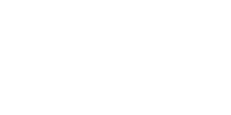 800 Jahre Barlachstadt Güstrow 1228 - 2028 800 Jahre Barlachstadt Güstrow 1228 - 2028
